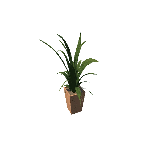 Plant 2